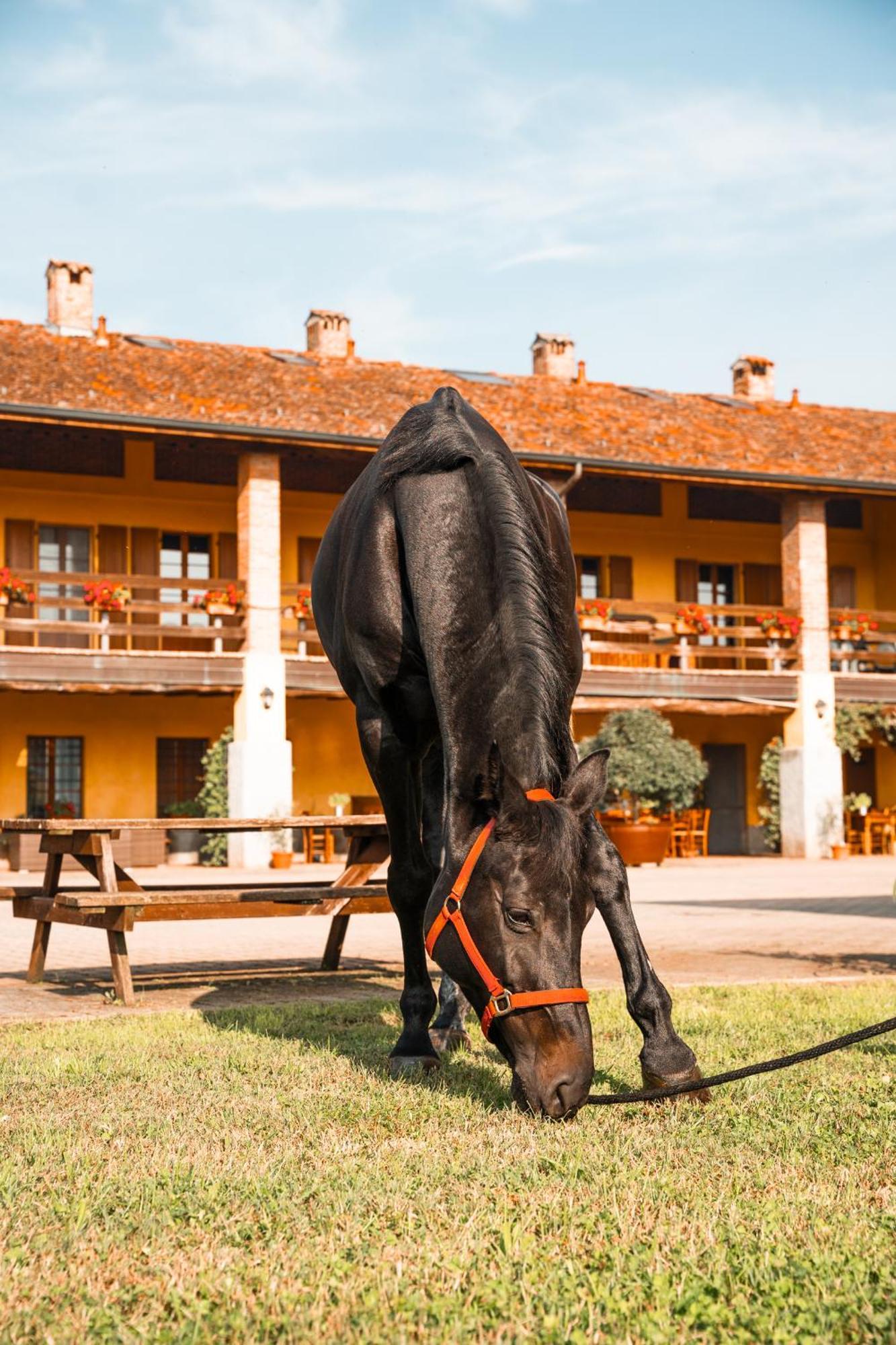 Agriturismo Bassanella Тревильо Экстерьер фото